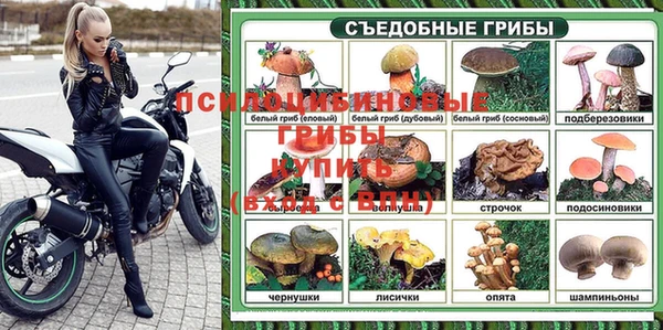 наркотики Белокуриха