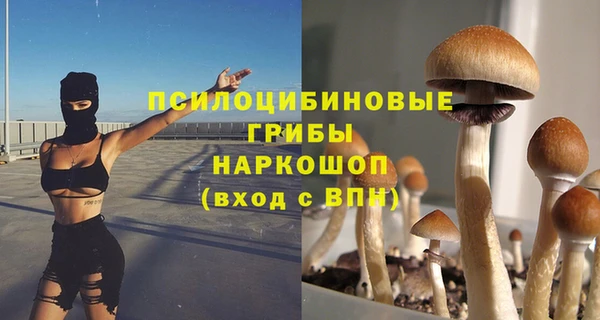 наркотики Белокуриха