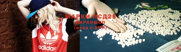 спайс Беломорск